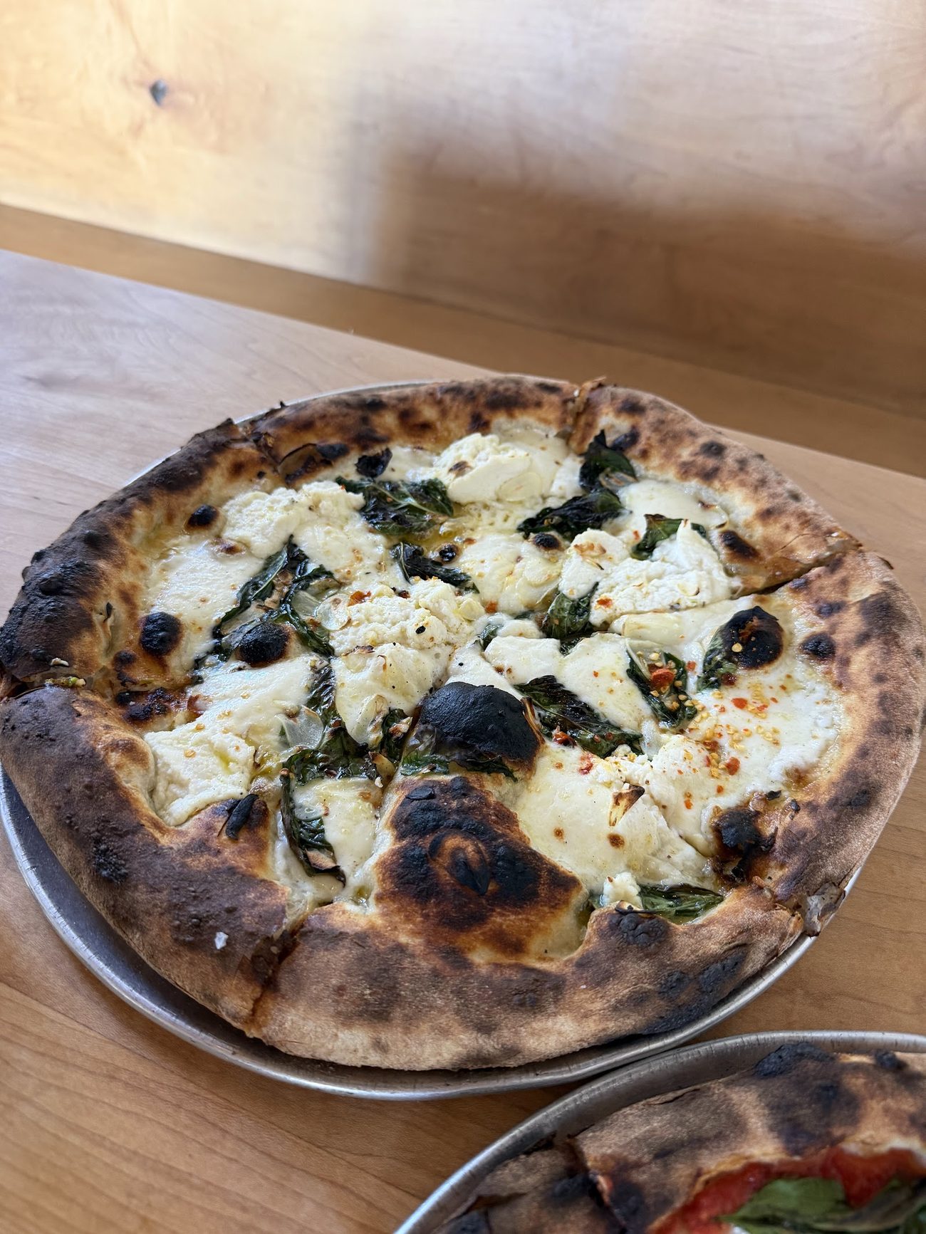 A white Bianca pizza with mozzarella, ricotta and herbs, its crust dark and bubbled at the edge