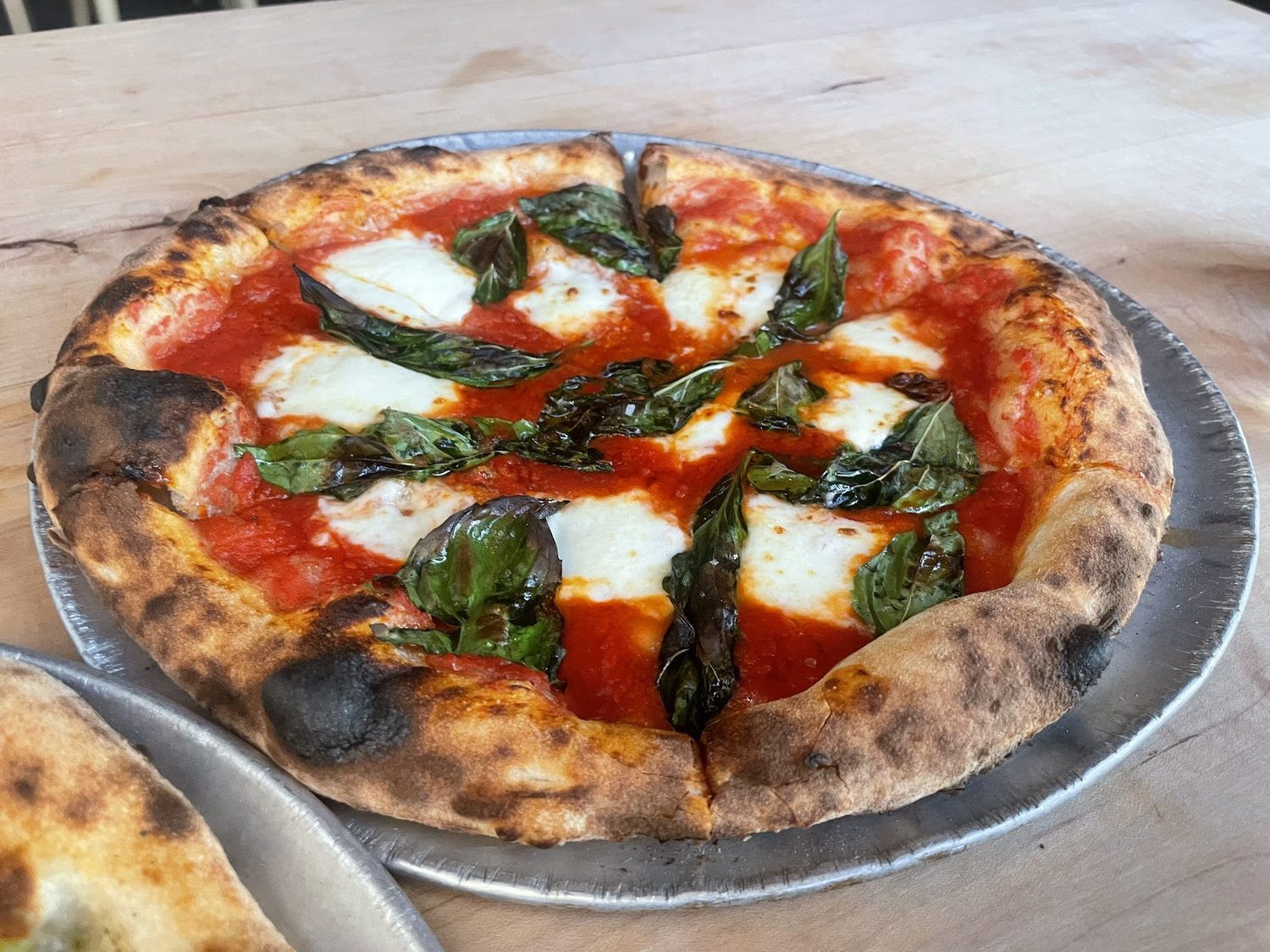 A Margherita pizza on a metal tray: tomato, fresh mozzarella and basil on a blistered, charred crust